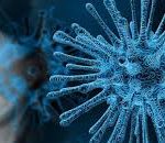 Autorisation de sortie, protections, renseignements & propositions d'activités