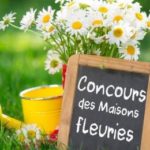 Cours des maisons fleuries 2023