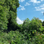 Coupure d'électricité